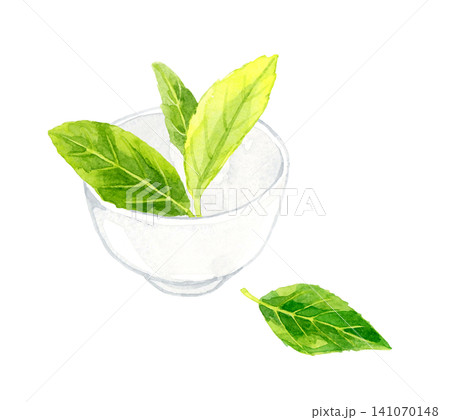 湯呑みと緑色の茶葉 手描き水彩イラスト素材 湯呑みと緑色の茶葉 手描き水彩イラスト素材 141070148