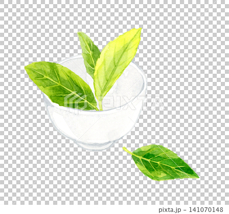 湯呑みと緑色の茶葉 手描き水彩イラスト素材 湯呑みと緑色の茶葉 手描き水彩イラスト素材 141070148