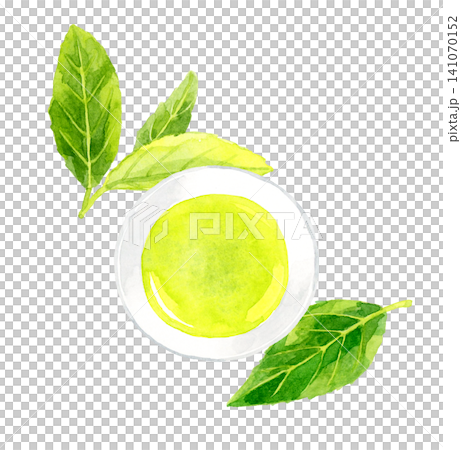 Green tea and tea leaves viewed from directly above - Hand-drawn watercolor illustration material Green tea and tea leaves viewed from directly above - Hand-drawn watercolor illustration material 141070152