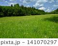 Beautiful spring landscape with nature - Czech Republic - Europe. Concept for travel and environment. 141070297