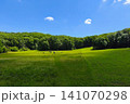 Beautiful spring landscape with nature - Czech Republic - Europe. Concept for travel and environment. 141070298