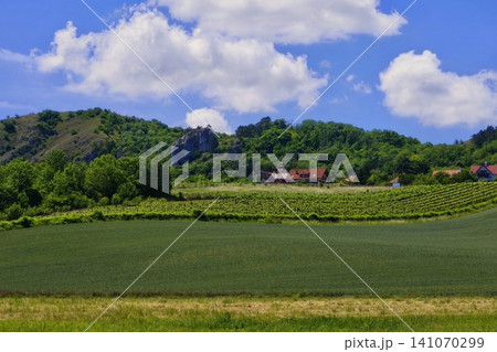 Beautiful spring landscape with nature - Czech Republic - Europe. Concept for travel and environment. Beautiful spring landscape with nature - Czech Republic - Europe. Concept for travel and environment. 141070299