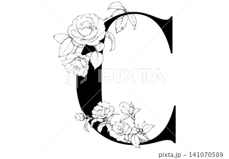 アルファベット　レター　花　カメリア　白黒　イラスト 141070589
