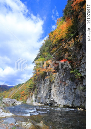 屏風岩の紅葉と伊南川の流れ/福島県南会津郡 南会津町 屏風岩の紅葉と伊南川の流れ/福島県南会津郡 南会津町 141070957