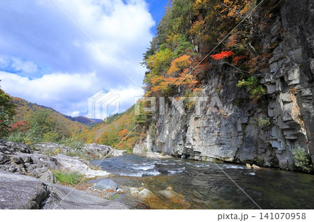 屏風岩の紅葉と伊南川の流れ/福島県南会津郡 南会津町 屏風岩の紅葉と伊南川の流れ/福島県南会津郡 南会津町 141070958