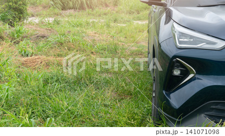 Low angle front view close up on bumper and wheel arch panel of a modern car parked on a lawn of dense. Fresh green overgrown grass during daytime. Low angle front view close up on bumper and wheel arch panel of a modern car parked on a lawn of dense. Fresh green overgrown grass during daytime. 141071098