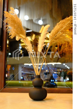 A black gourd vase holds dried pampas grass and various botanicals A black gourd vase holds dried pampas grass and various botanicals 141071231