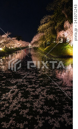 弘前さくらまつり 夜桜ライトアップとお堀に浮かぶ花筏 弘前さくらまつり 夜桜ライトアップとお堀に浮かぶ花筏 141071243