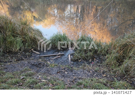 Muddy ground covered with green and brown grass lines a peaceful water body Muddy ground covered with green and brown grass lines a peaceful water body 141071427