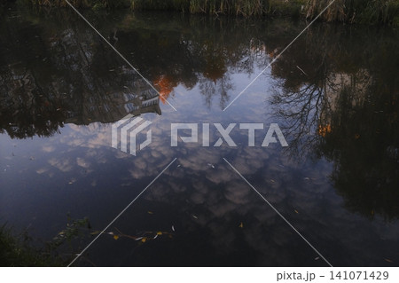 Rippling water, a serene canvas, mirrors soft clouds, dark trees 141071429