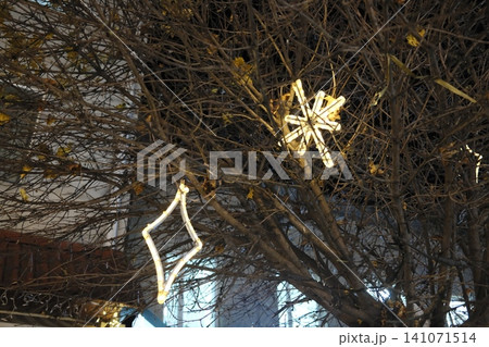 Bright snowflake and rhombus lights hang on a bare tree, glowing warmly against the dark night Bright snowflake and rhombus lights hang on a bare tree, glowing warmly against the dark night 141071514