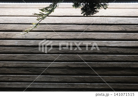 An evergreen branch hangs gracefully over a wall of dark, horizontally paneled wood An evergreen branch hangs gracefully over a wall of dark, horizontally paneled wood 141071515