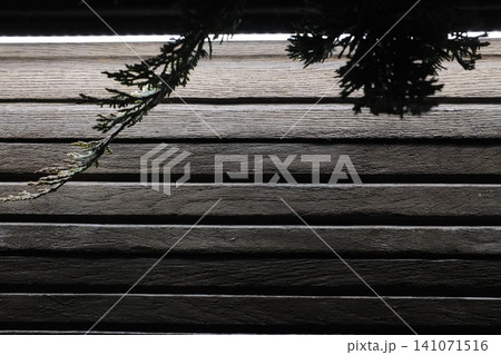 A frosty juniper branch dangles against a dark wooden plank wall 141071516