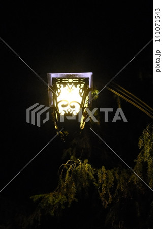 Decorative outdoor lamp brightly illuminates dark evergreen tree branches against a deep night sky Decorative outdoor lamp brightly illuminates dark evergreen tree branches against a deep night sky 141071543