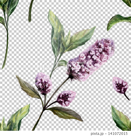 Mint seamless pattern watercolor illustration. Mentha medicinal herb blossom for refreshing pharmacy branding, stress relief tea packaging, organic cooling cosmetics design, herbal wellness print Mint seamless pattern watercolor illustration. Mentha medicinal herb blossom for refreshing pharmacy branding, stress relief tea packaging, organic cooling cosmetics design, herbal wellness print 141072015