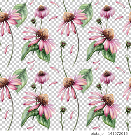 Echinacea seamless pattern watercolor illustration. Purple coneflower blossom for organic skin care cosmetics packaging, natural beauty branding, floral body lotion print, wellness backdrop Echinacea seamless pattern watercolor illustration. Purple coneflower blossom for organic skin care cosmetics packaging, natural beauty branding, floral body lotion print, wellness backdrop 141072016