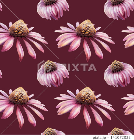 Echinacea seamless pattern watercolor illustration. Purple coneflower blossom for health immunity pharmacy branding, cold remedy packaging, medical tea design, organic herbal wellness wallpaper Echinacea seamless pattern watercolor illustration. Purple coneflower blossom for health immunity pharmacy branding, cold remedy packaging, medical tea design, organic herbal wellness wallpaper 141072022