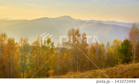 Autumn colored forest and mountains in haze Autumn colored forest and mountains in haze 141072049