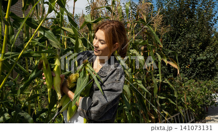 Happy woman holding freshly picked sweet corn cobs. Smiling adolescent with yellow corn harvest in hands. Organic farming and healthy eating concept. 141073131