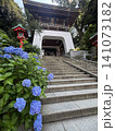 あじさいと江ノ島神社 141073182