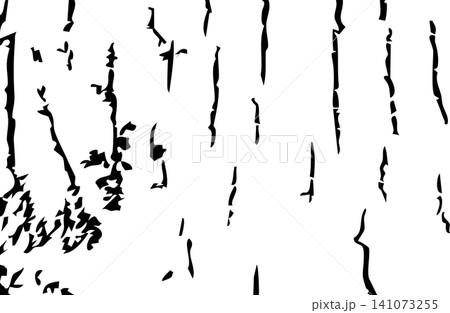 Distress grunge wood bark texture black and white organic pattern Distress grunge wood bark texture black and white organic pattern 141073255