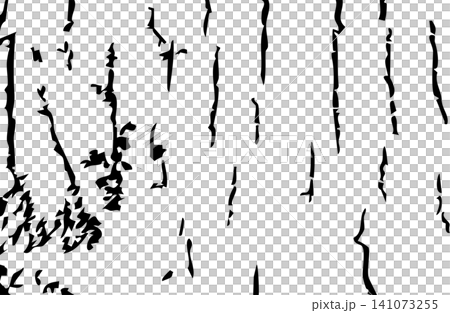 Distress grunge wood bark texture black and white organic pattern Distress grunge wood bark texture black and white organic pattern 141073255