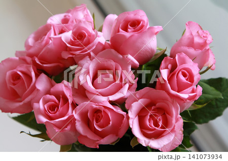 Close-Up View of a Beautiful Bouquet of Vibrant Pink Roses Clustered Together in Full Bloom Close-Up View of a Beautiful Bouquet of Vibrant Pink Roses Clustered Together in Full Bloom 141073934