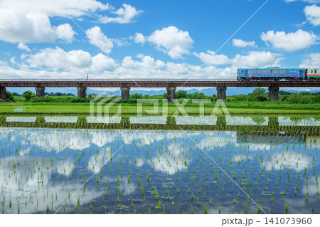 ローカル電車 ローカル電車 141073960