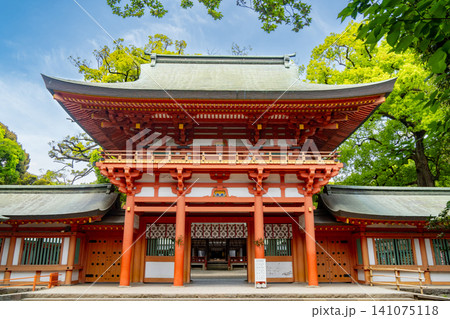 武蔵一宮氷川神社 楼門 埼玉県さいたま市大宮区 武蔵一宮氷川神社 楼門 埼玉県さいたま市大宮区 141075118