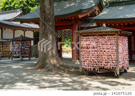 武蔵一宮氷川神社境内　埼玉県さいたま市大宮区 141075120