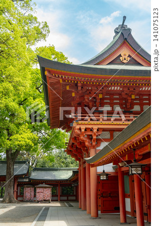 武蔵一宮氷川神社 楼門 埼玉県さいたま市大宮区 武蔵一宮氷川神社 楼門 埼玉県さいたま市大宮区 141075123