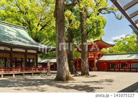 武蔵一宮氷川神社 舞殿と楼門 埼玉県さいたま市大宮区 武蔵一宮氷川神社 舞殿と楼門 埼玉県さいたま市大宮区 141075127