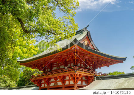 武蔵一宮氷川神社 楼門 埼玉県さいたま市大宮区 武蔵一宮氷川神社 楼門 埼玉県さいたま市大宮区 141075130