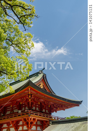 武蔵一宮氷川神社 楼門 埼玉県さいたま市大宮区 武蔵一宮氷川神社 楼門 埼玉県さいたま市大宮区 141075131