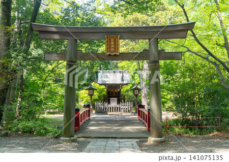武蔵一宮氷川神社境内社 宗像神社 埼玉県さいたま市大宮区 武蔵一宮氷川神社境内社 宗像神社 埼玉県さいたま市大宮区 141075135