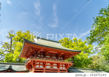 武蔵一宮氷川神社 楼門と空 埼玉県さいたま市大宮区 武蔵一宮氷川神社 楼門と空 埼玉県さいたま市大宮区 141075143