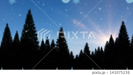 Framing conifer tree line forming jagged horizon at forest edge with sunburst and falling flakes Framing conifer tree line forming jagged horizon at forest edge with sunburst and falling flakes 141075238
