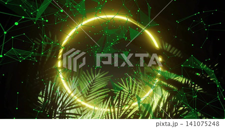 Highlighting glowing neon ring emitting yellow light in studio set, with palm fronds and green mesh Highlighting glowing neon ring emitting yellow light in studio set, with palm fronds and green mesh 141075248