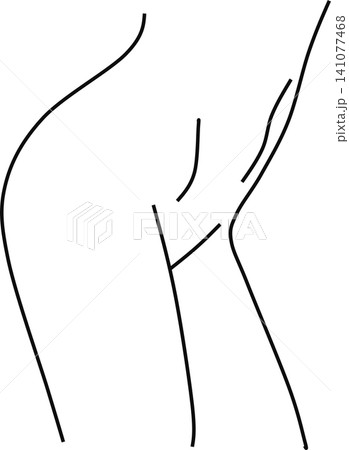 女性の体のイラスト 女性の体のイラスト 141077468