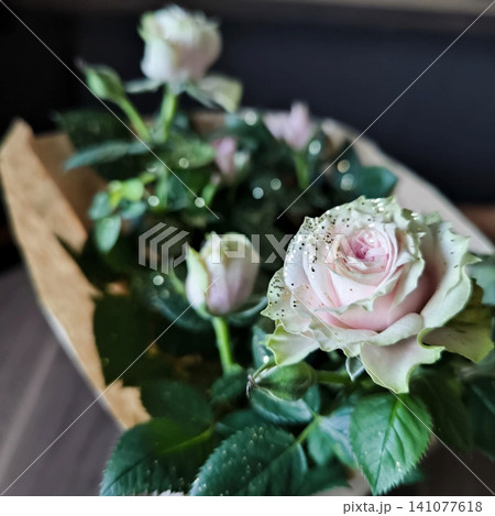 on a black background, soft pink roses with sparkles on the buds 141077618