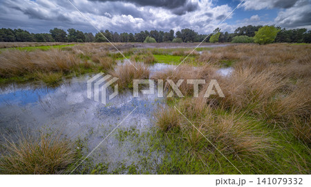 Lagunas de Cantalejo Special Protection Area, Spain 141079332
