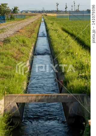 灌漑水路と水田の風景 灌漑水路と水田の風景 141079396