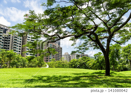 Panoramic view of Sculpture Park at the Kaohsiung Museum of Fine Arts in Taiwan. It's located in the Neiweipi Cultural Park Area of Kaohsiung. 141080042