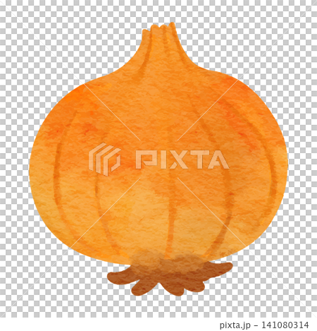 Simple watercolor-style illustration of an onion with the skin on. Simple watercolor-style illustration of an onion with the skin on. 141080314