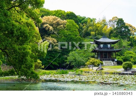 京都市山科区　勸修寺の庭園と観音堂　 141080343