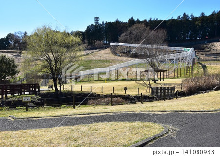 神奈川県 県立おだわら諏訪の原公園の陽だまりの丘散策路とローラーすべり台 神奈川県 県立おだわら諏訪の原公園の陽だまりの丘散策路とローラーすべり台 141080933