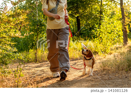 Close Up of Woman Walking Beagle on Trail Close Up of Woman Walking Beagle on Trail 141081126
