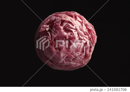 Beautiful fresh peony on black background. Floral card design with dark vintage effect 141081706