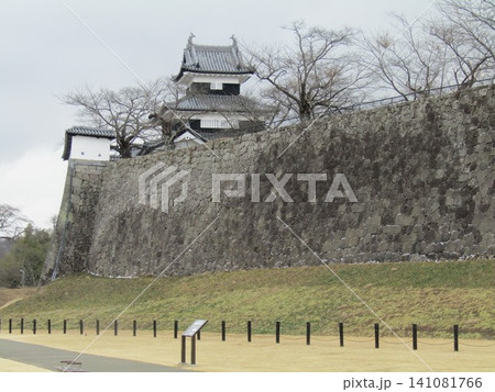冬に訪れて雪が降った、福島県の白石城 冬に訪れて雪が降った、福島県の白石城 141081766