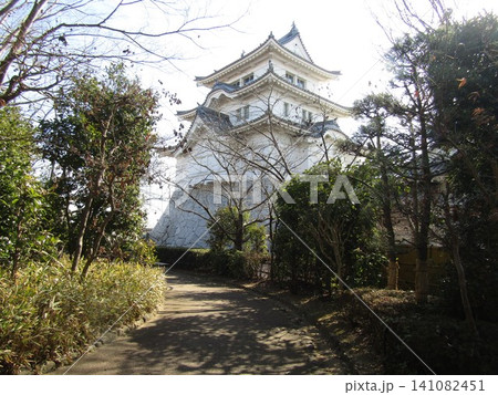 千葉県の東武動物公園にある千葉県立関宿城博物館 千葉県の東武動物公園にある千葉県立関宿城博物館 141082451